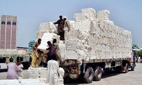 5.6m cotton bales produced 5.6m cotton bales produced