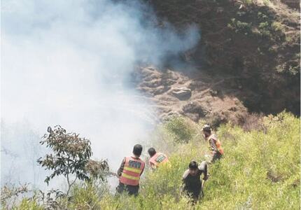Fire destroys wildlife, trees in Shangla