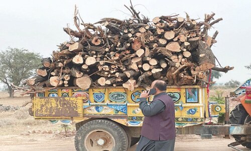 Illegal timber seized, offenders fined in Jand