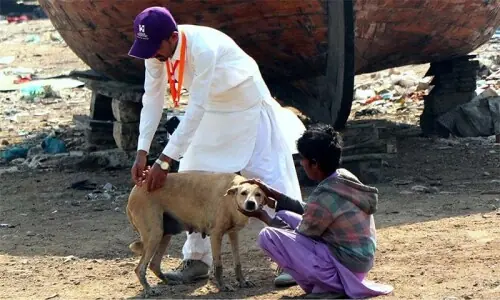 Punjab witnesses 514,589 dog bite cases from January 2024 to March 2026