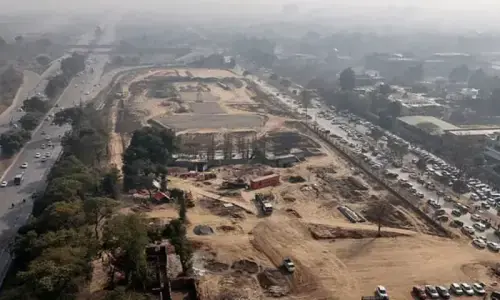 IHC seeks report from CDA over alleged violation of tree-felling restraining order