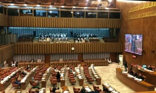 Senate panel rejects bill seeking to enhance women&rsquo;s participation in politcal process