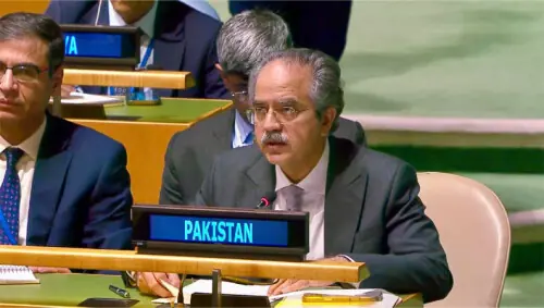 At UNSC, Pakistan urges &lsquo;restricted&rsquo; use of veto power