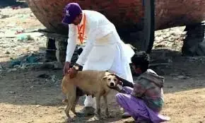 Man bitten by his own dog month ago dies from rabies in Karachi Man bitten by his own dog month ago dies from rabies in Karachi