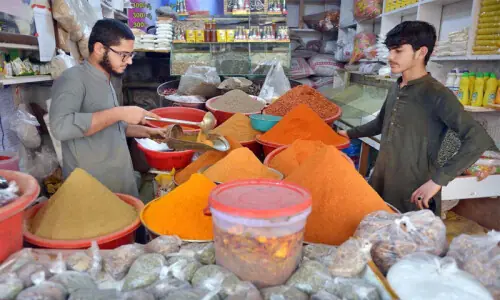 Energy prices to surge 24pc in 2026: WB