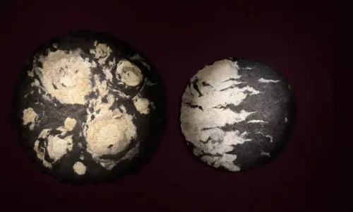 Exhibition What the Mountains Hide connects two millennia of human history through felt and wool