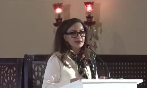PPP Senator Sherry Rehman says conflicts are costing the environment