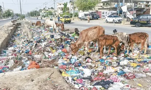 Sindh High Court moved for devolution of solid waste management to towns, union committees