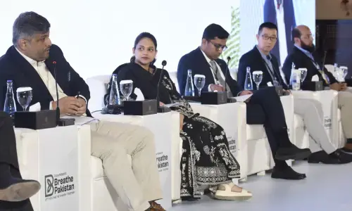 Breathe Pakistan: International Renewable Energy Agency official calls for investing in solar infrastructure