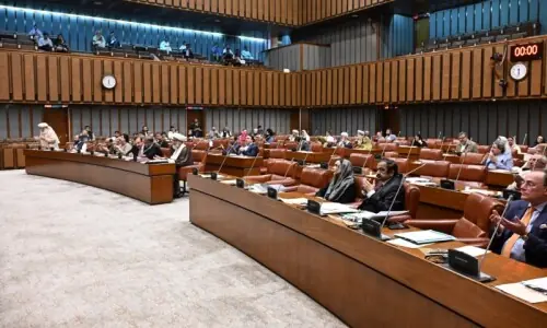 Senate passes resolution lauding courage, sacrifices of armed forces on Marka-i-Haq anniversary