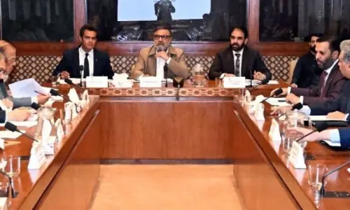 Senate body to look into PMDC matters