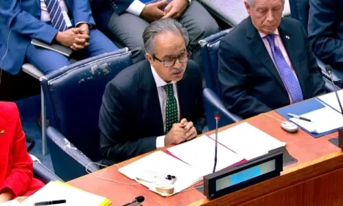 At UN, Pakistan raises alarm at Israel's systematic annexation of occupied West Bank