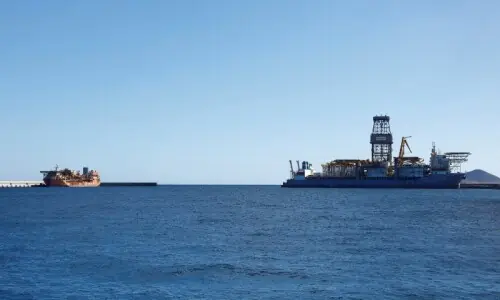 WHO chief due in Canaries to coordinate hantavirus ship evacuation