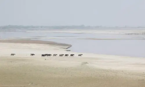 Water crisis beyond scarcity