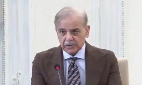 IT exports projected to reach $4bn during current fiscal year, PM Shehbaz told