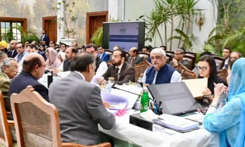 Cabinet gives nod to agri land scheme for residents of Cholistan, Katcha areas