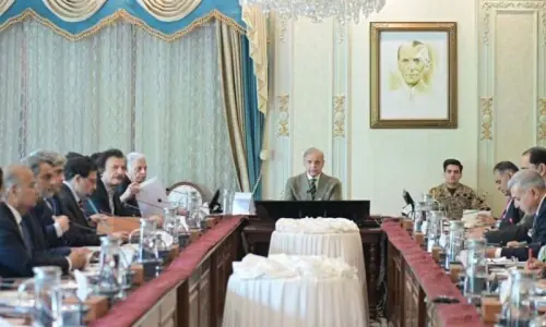 PM orders uninterrupted supply of fertiliser to safeguard food security