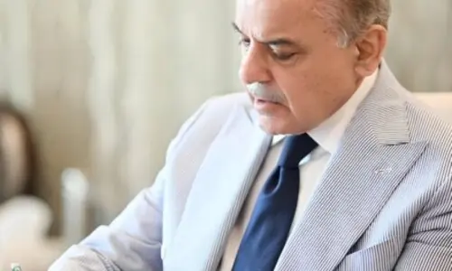 PM Shehbaz calls for efforts to turn Pakistan into an 'economic power'