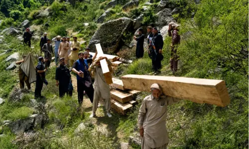 Huge quantity of smuggled timber seized Huge quantity of smuggled timber seized