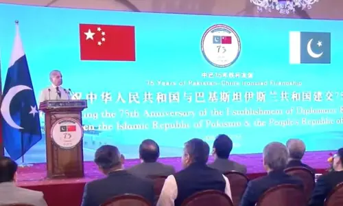 PM Shehbaz lauds &lsquo;steadfast&rsquo; Pak-China friendship, says both countries &lsquo;always stand together firmly&rsquo;