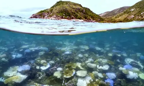 Something coming: Here's what scientists know about a potential 'super' El Nino