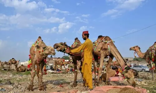 Unlike Centre, Sindh announces four Eid holidays Unlike Centre, Sindh announces four Eid holidays