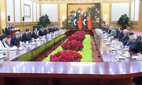 PM Shehbaz calls for China, Pakistan to 'really be together' for restoring peace in Middle East
