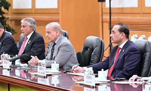 PM Shehbaz calls for China, Pakistan to 'really be together' for restoring peace in Middle East