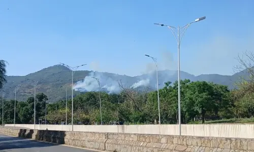 Fire erupts in Islamabad's Margalla Hills, hiking trails temporarily closed: district admin Fire erupts in Islamabad's Margalla Hills, hiking trails temporarily closed: district admin