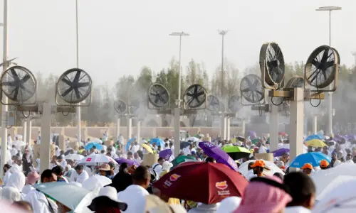Pilgrims pray on Mount Arafat as Haj reaches peak