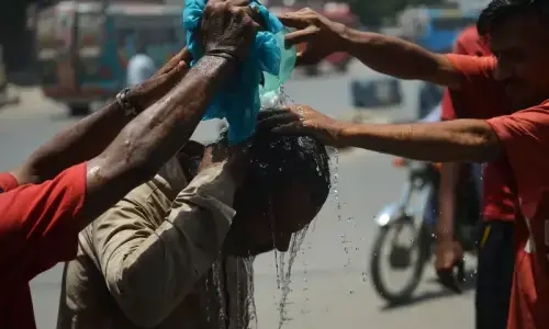 Dadu sets new maximum temperature record as mercury climbs to 51.5C Dadu sets new maximum temperature record as mercury climbs to 51.5C
