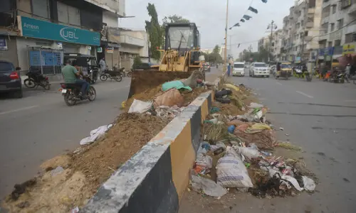 Heaps of offal in Karachi leave citizens struggling with foul smell, sanitation issues