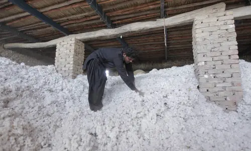 Imports of cotton surge despite lower local prices