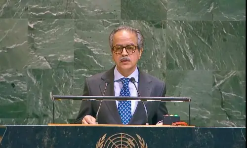 'The bridge between confrontation and peace': Pakistan calls for stronger mediation efforts to prevent conflicts