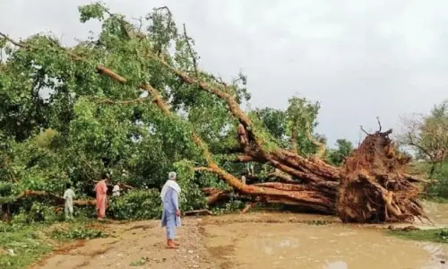 At least 20 injured as violent storm damages homes, buildings in KP's Bannu At least 20 injured as violent storm damages homes, buildings in KP's Bannu