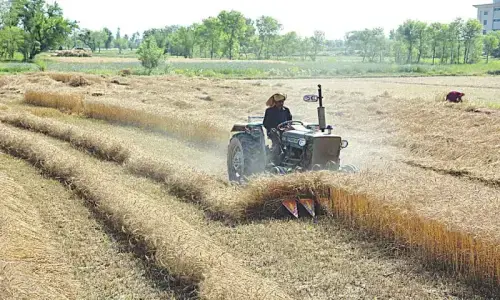 Govt encourages private agri storage financing