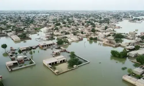 Editorial: Govt should demonstrate that climate change is a national priority in the upcoming budget