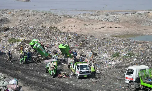 Environment Day marked across Punjab