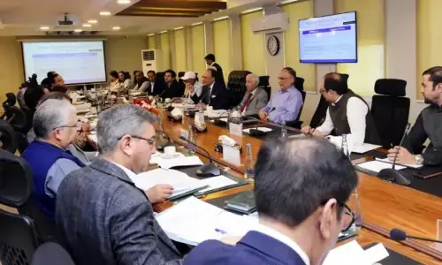 ECC expands bureaucrats&rsquo; stipend, okays Rs40bn grants