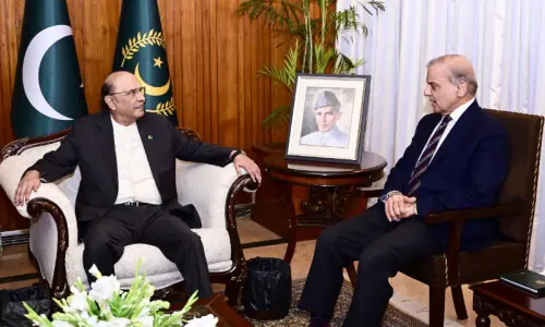 In meeting with PM, President Zardari stresses &lsquo;provincial rights, economic stability&rsquo; in upcoming budget