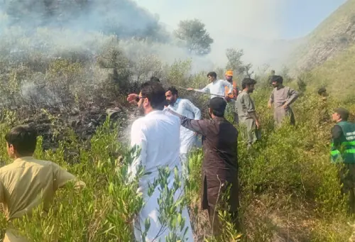 DC orders collective efforts to tackle forest fires in Lower Dir