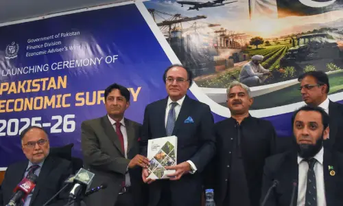 Editorial: The economic survey tells a difficult story, but productivity needs to be the dominant target