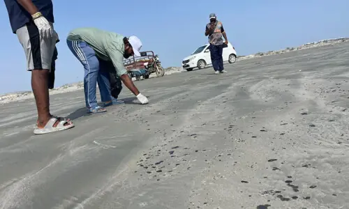 Heavy oil slick hits Gwadar’s western coast Heavy oil slick hits Gwadar’s western coast
