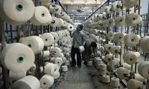 Textile sees budget &lsquo;balanced&rsquo;; poultry, plastic sectors, trade unions raise concerns