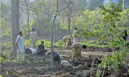 Climate ministry secures Rs2.48bn Public Sector Development Programme allocation for green projects Climate ministry secures Rs2.48bn Public Sector Development Programme allocation for green projects