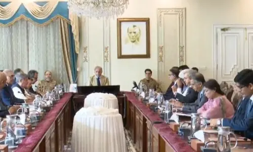 PM Shehbaz says Centre to foot the bill of 100MW solar power project in GB PM Shehbaz says Centre to foot the bill of 100MW solar power project in GB
