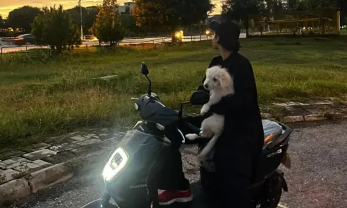 Scooty for the beti and EV for the biwi