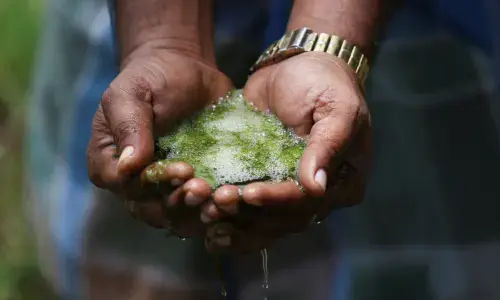 Tata's iPhone parts factory in India's Tamil Nadu faces health probe after farmers' contamination complaints Tata's iPhone parts factory in India's Tamil Nadu faces health probe after farmers' contamination complaints