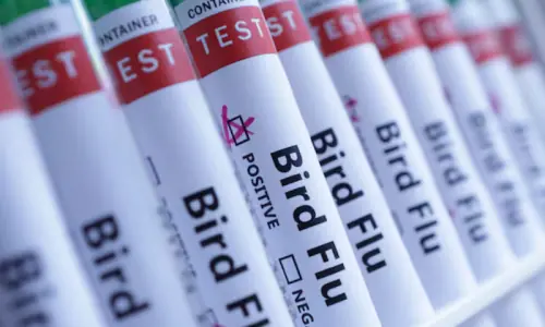Australia, last continent without H5 bird flu, detects first suspected case Australia, last continent without H5 bird flu, detects first suspected case