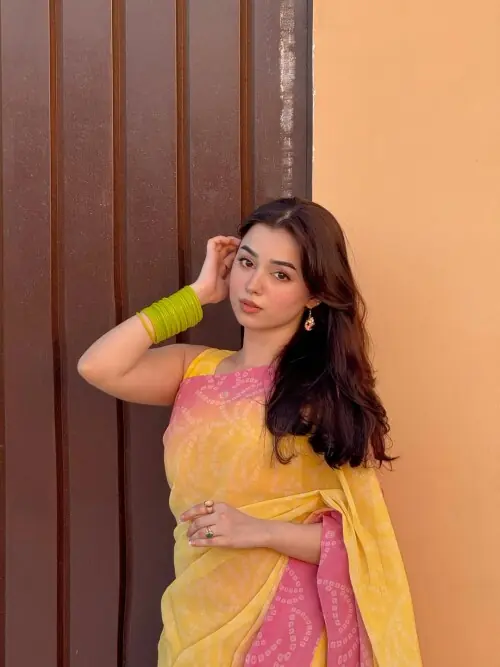 Why is Anayah Shahid being called evil for playing a villain in Zanjeerain?